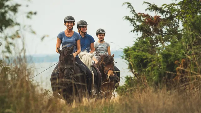B&B Ölands YogaStudio & Islandshästar