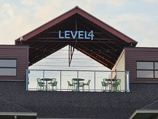 Level 4