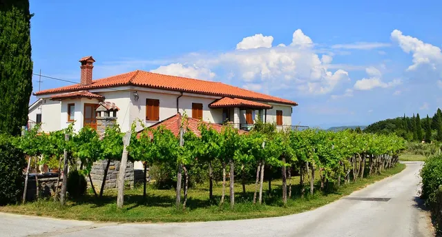 Apartments & Rooms - cheap rooms for rent