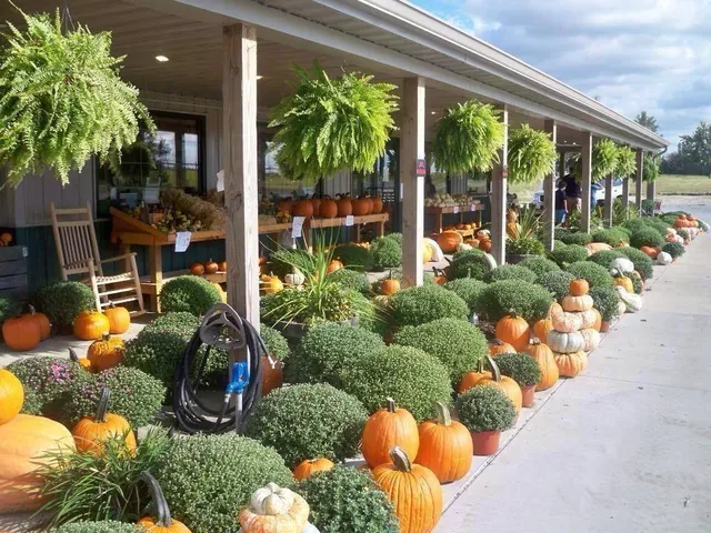 Trunnell's Market & Farm Experience