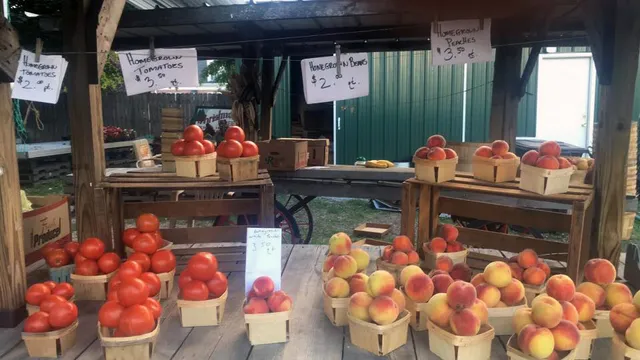 George's Produce Market