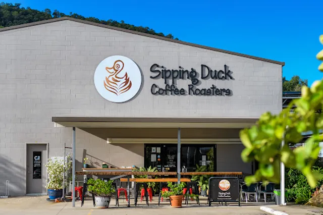 Sipping Duck Coffee Roasters