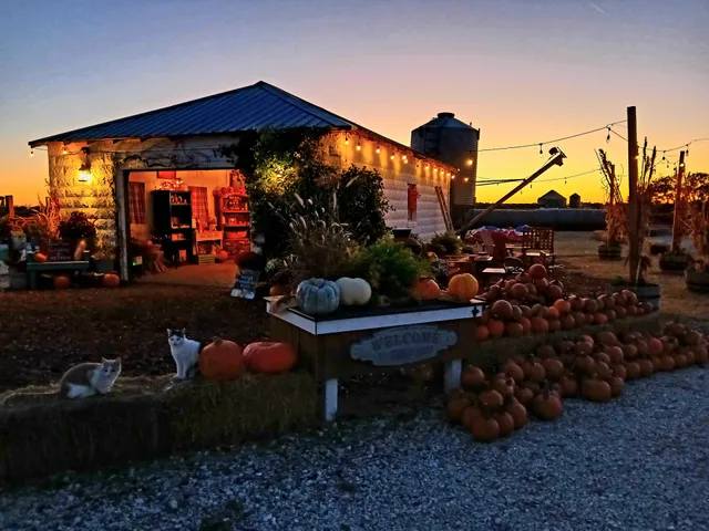 Hickory Hollow Pumpkin Patch