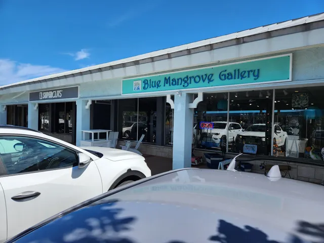 Blue Mangrove Gallery