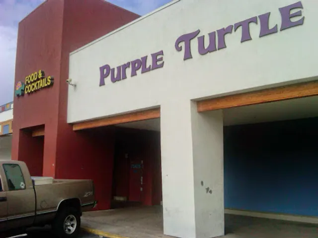 Purple Turtle