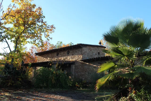 Casa Rural el Alamillo
