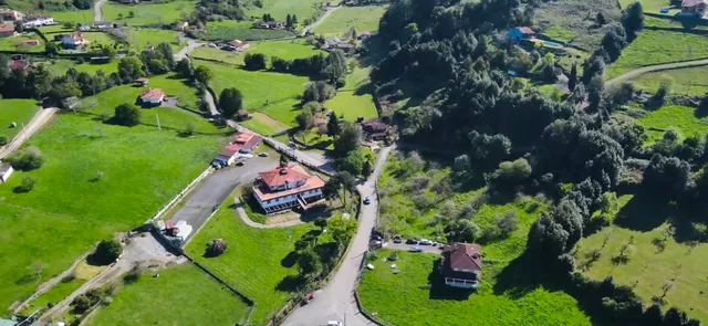 Alojamiento Las Palmeras