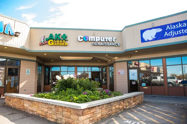 Computer Renaissance