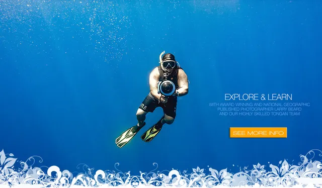 Larry Beard Fine Art