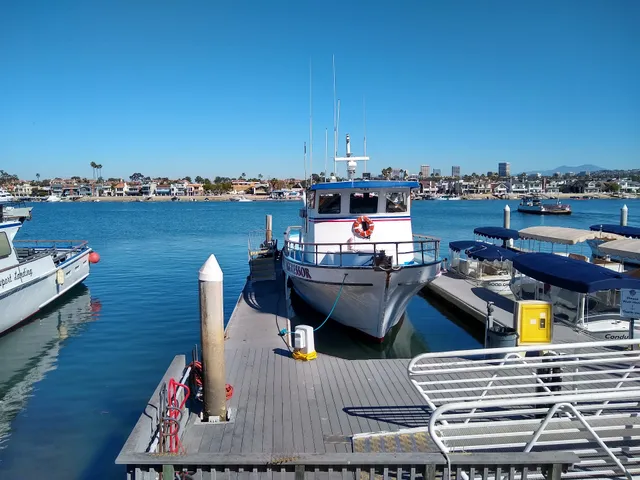 Newport Landing Sportfishing
