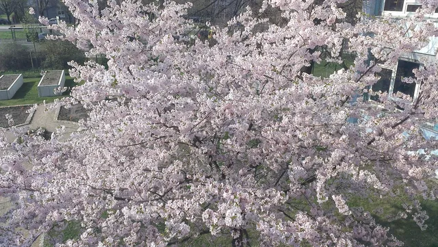 Apartment Schützengasse 24