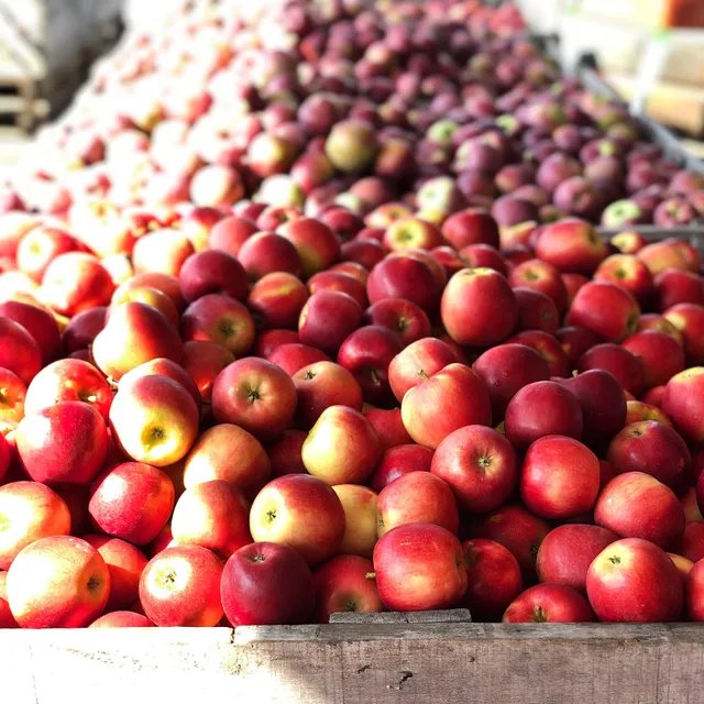Orbaker's Farm Market