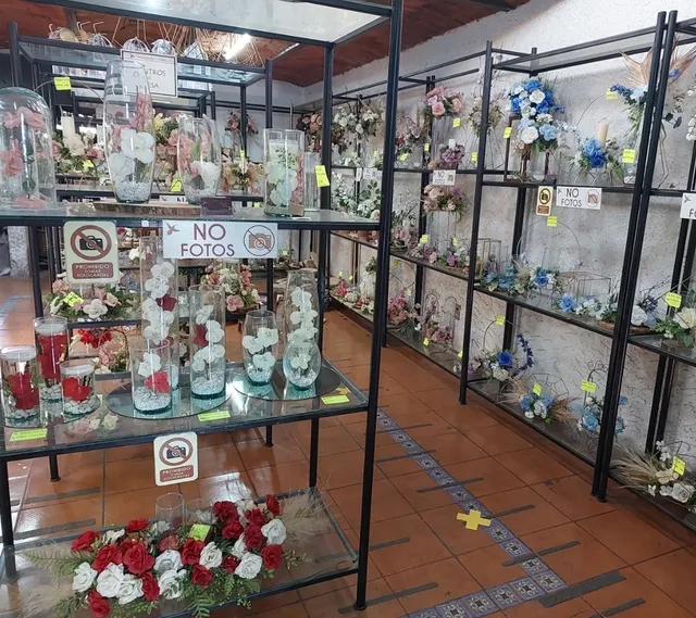 Artesanías Colibrí