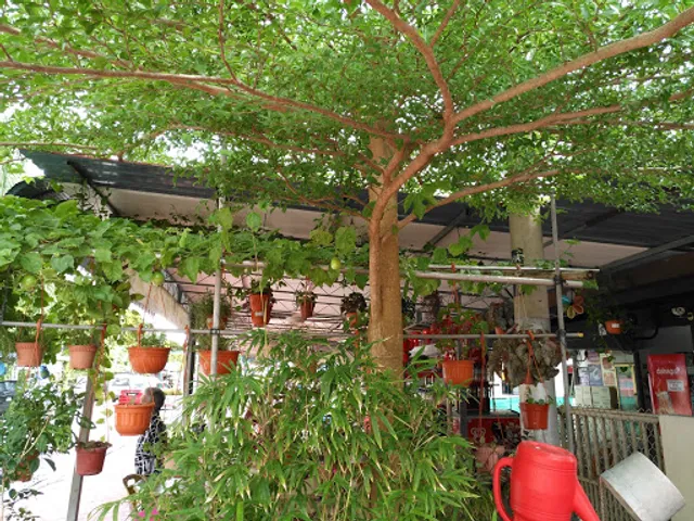 No. 2 Teluk Bahang Seafood