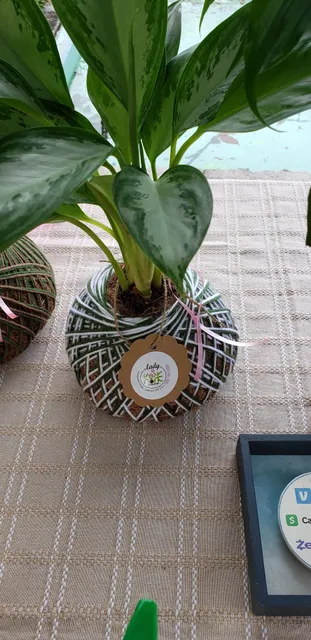 The Hinesville Downtown Farmers Market