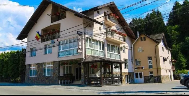 Pensiunea Lido Moisei