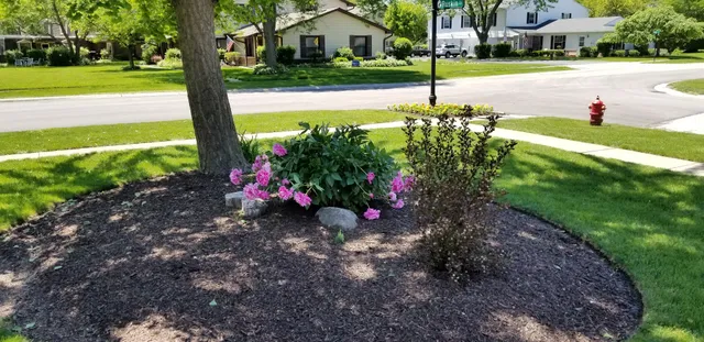 Busse Lake Beisner Road Access