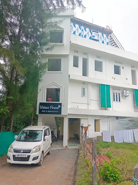 Urban Forest Bed and Breakfast