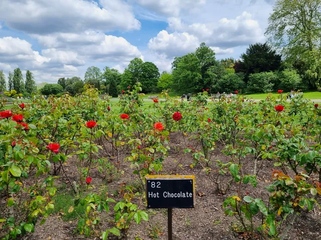 Regent's Park Office