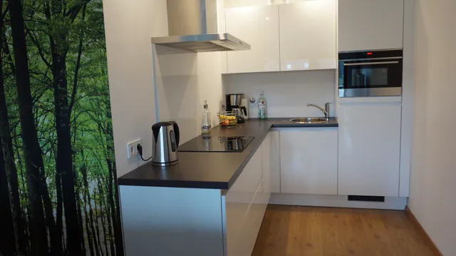 appartement familie willems winterberg