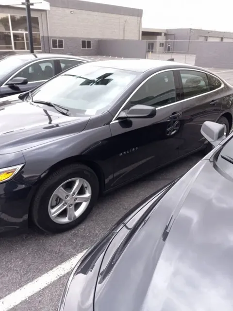 Buggy Rideshare Rental - Las Vegas