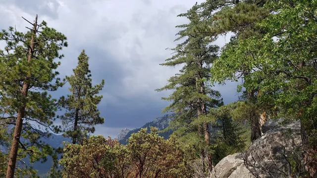 South Ridge Yellow Post