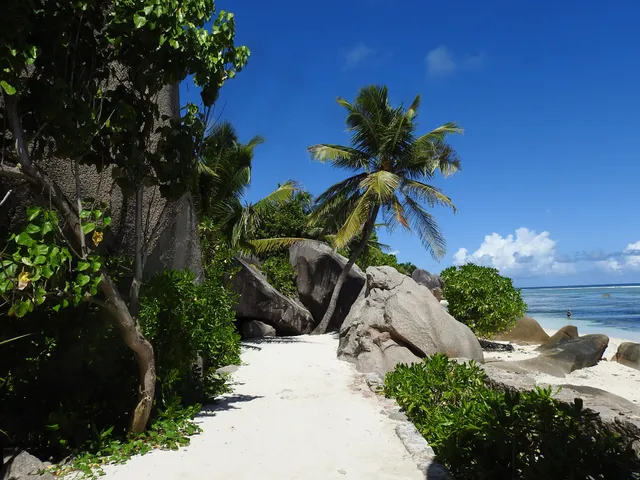 Point de vue sur Anse Source d'Argent