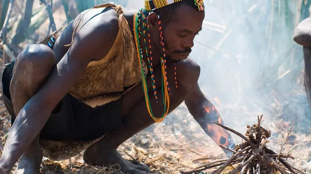 Bush 2 City Adventure Limited