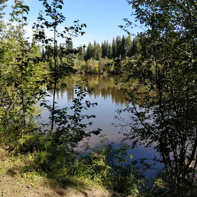 Chena Kiwanis Park