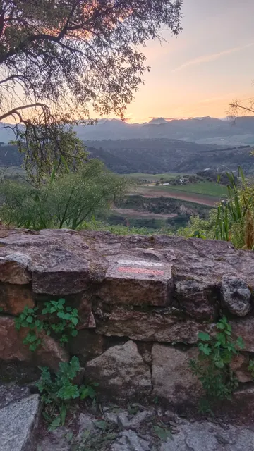 Sendero Ronda - Jimera de Líbar (GR-141)