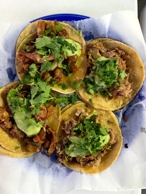 The San Diego Taco Truck