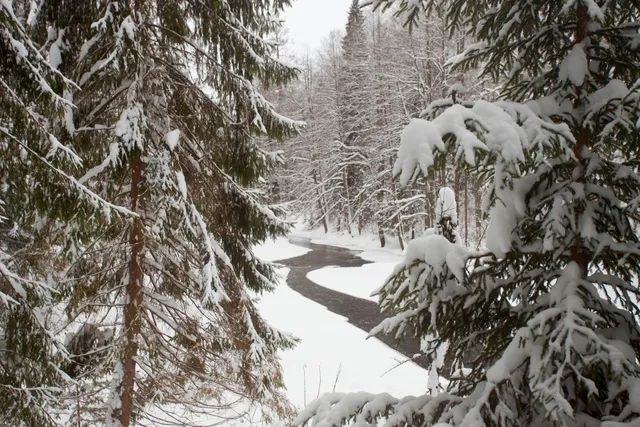 Lindulovskaya Roshcha