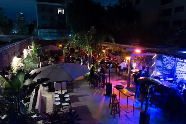 Piénsate Bravo - Cocktail Garden - Bar