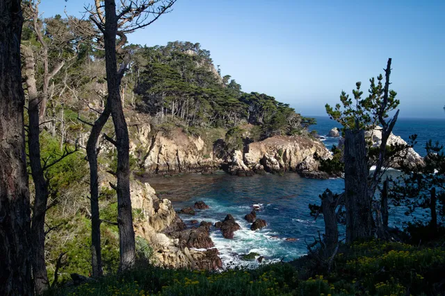 Blue Fish Cove Scenic View