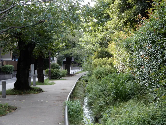 Kitazawa River Green Way