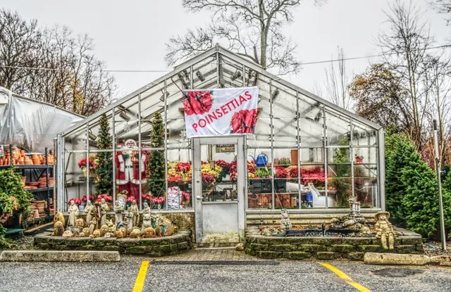 Mangone's Farmers Market