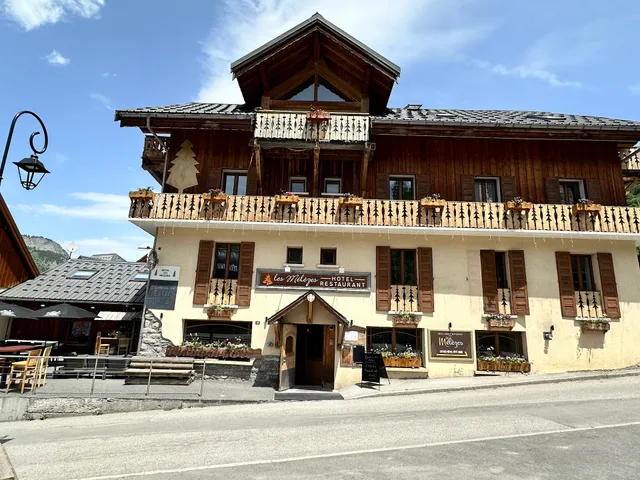 Hôtel Les Mélèzes Valloire