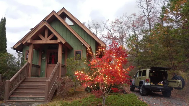 Bear Necessities Cabin