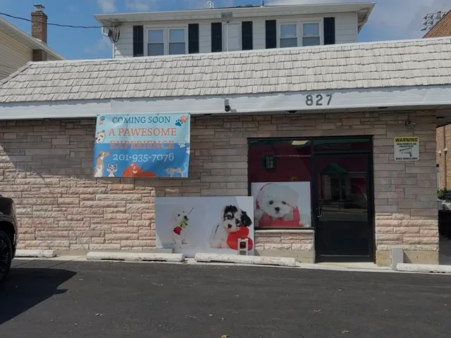 Pawesome Pet Spa rebranded A Pawesome Experience