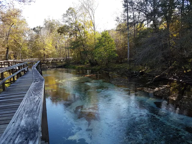 Blue Springs