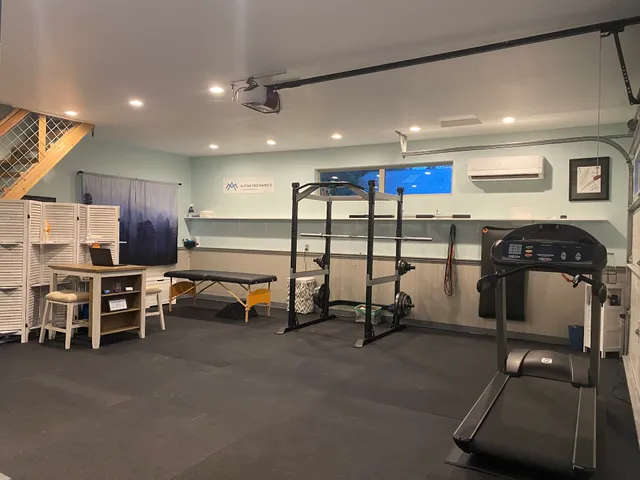 Alpine Mechanics PT and Performance