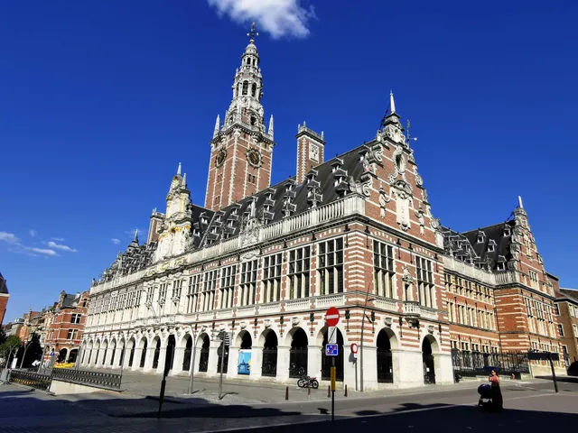 Parking Ladeuze-EFFIA