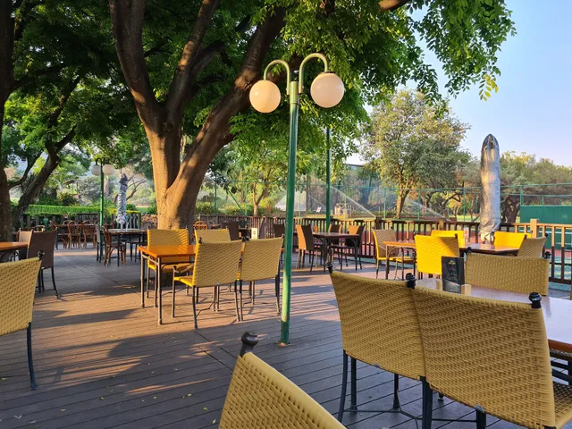 Cafe De Magalies Pica Pau