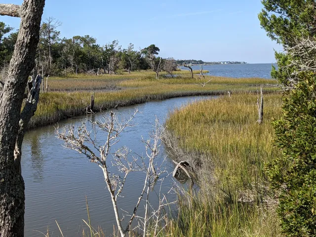 Theodore Roosevelt Natural Area