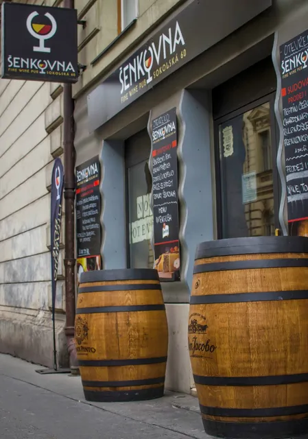Šenkovna Fine Wine Pub