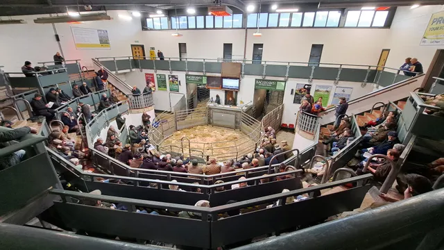 Bagshaws Bakewell || Land & Estate Agents, Chartered Surveyors, Valuers & Auctioneers