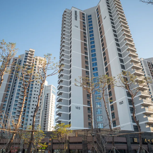 Y COLLECTION by UH FLAT OSIRIA