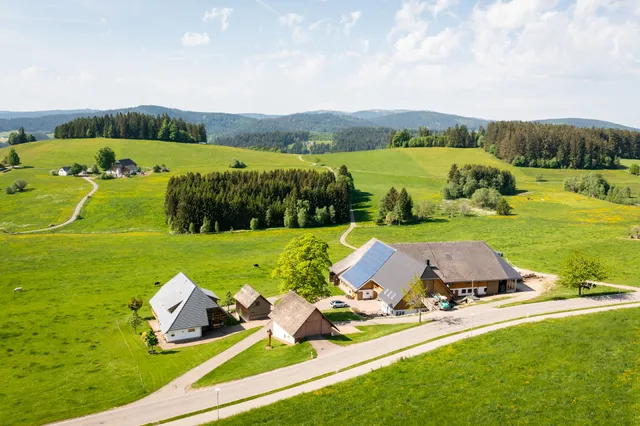 Markus Wangler, Haldenmichelhof