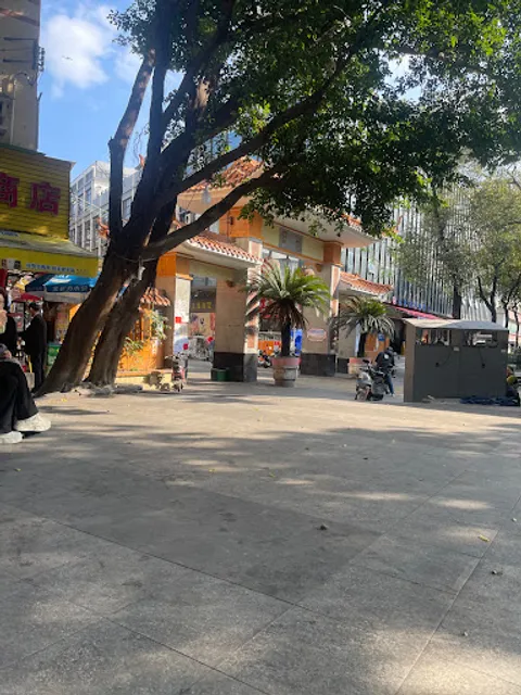 Muslim Plateau Stretched Noodles Wang