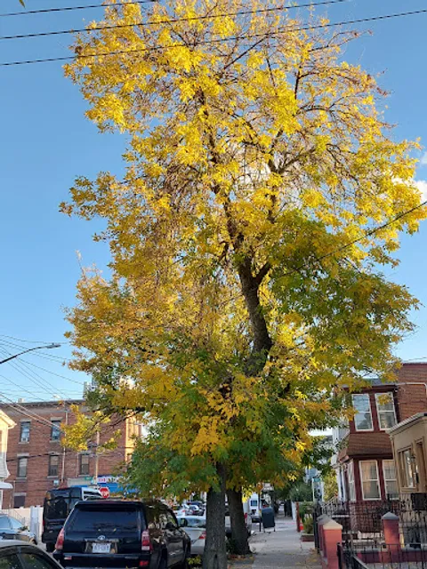 S & D DELI AND GROCERY CORP